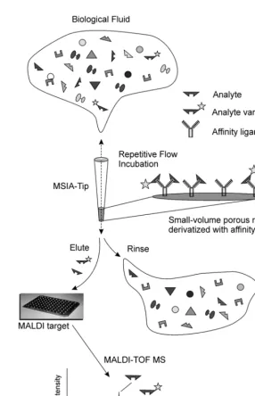 Fig. 1. Schematic of the MSIA process. Biological fluid is passed through the MSIA-Tip and targeted analytes areaffinity bound within the solid support