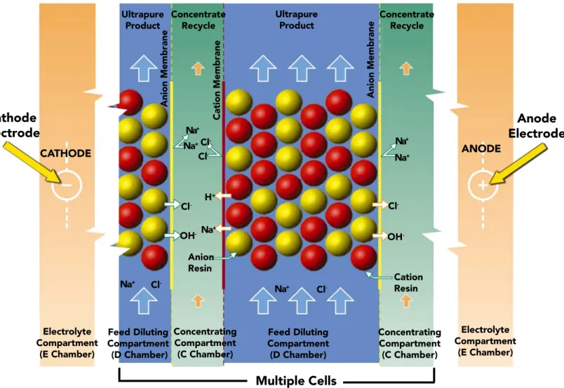 Figure 8.1-2: View of an EDI Cell with Electrodes Indicated