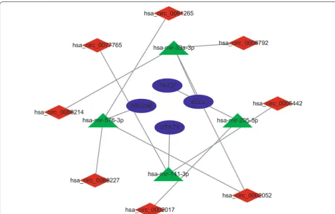 Fig. 8 Construction of the circRNA-miRNA-mRNA subnetwork based on mRNAs with survival prognostic potential