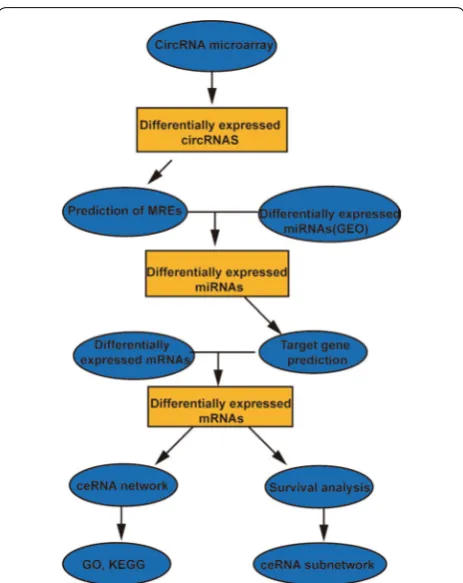 Fig. 1 Flow chart of the approach utilized in the present study