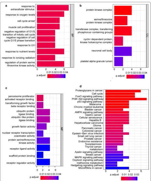 Fig. 6 GO and KEGG functional enrichment analyses of the differentially expressed mRNAs in the ceRNA network