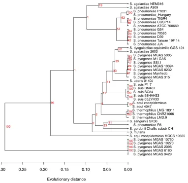 Figure 4. A tree for the same genomes as in Figure 3, but computed from distances based on multiple alignment of the 16S ribosomal RNA sequence from each species