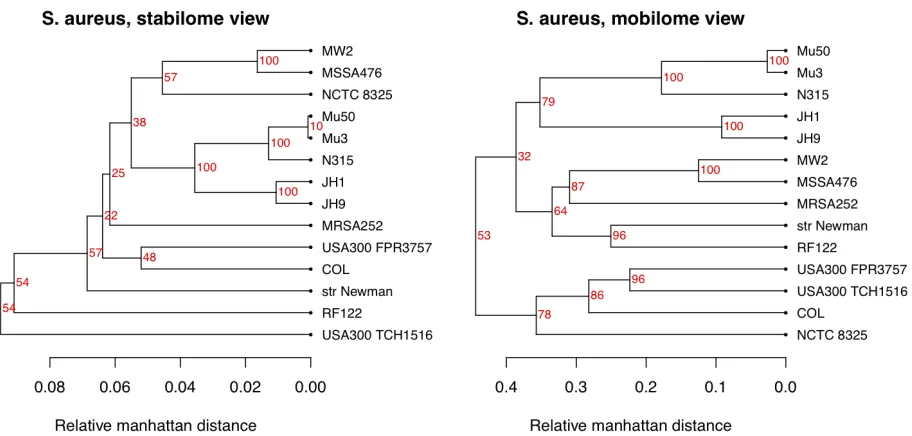 Figure 5. The left panel show the pan-genome family tree for the 14 strains of Staphylococcus aureus completed as NCBI