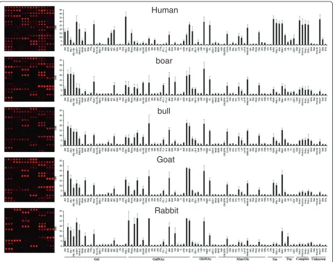 Figure 2 The results of analyzed sperm of five mammalian species on the lectin microarray