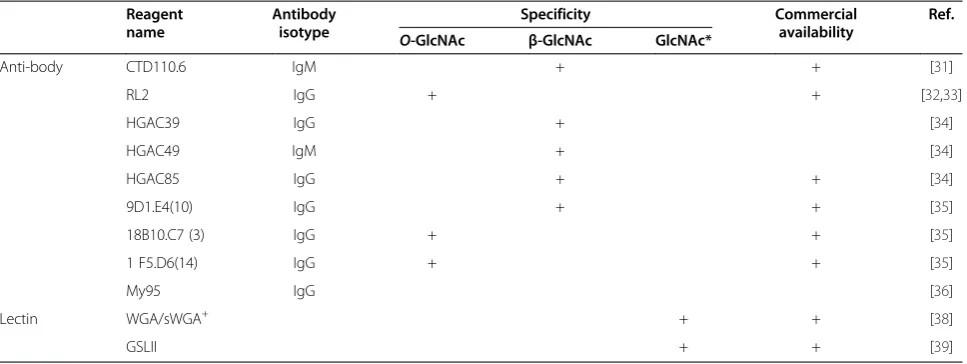 Table 1 Recognition of antibodies and lectins toward O-GlcNAc (adapted from [29]; Russell Reeves and Natasha E.Zachara, personal communications)