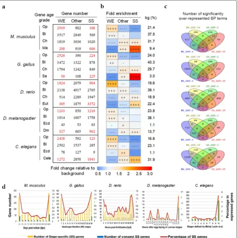 Fig. 6 Detailed expression and functional characteristics of young genes. a Shown are the detailed gene numbers of each category classified based on gene age grades (4 grades of GOT_Ens of the five species) and 3 grades of gene expression width (WE, widely