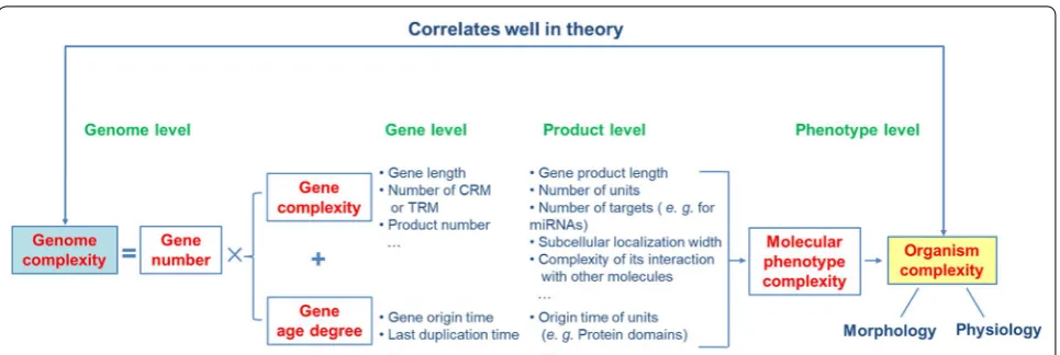 Fig. 1 Schematic diagram of the factors contributing to genome/organism complexity. In theory, organism complexity correlates well with genome complexity