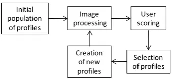 Figure 1. Main IPAT loop. 