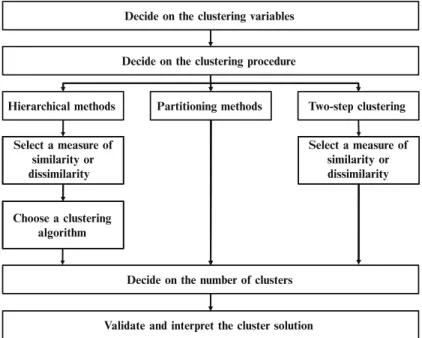 Fig. 9.2 Steps in a cluster analysis