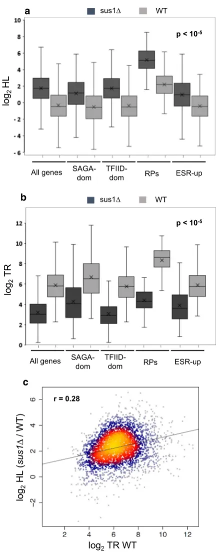 Fig. 3 Genomic effects of Sus1 depletion on changes in mRNA half‑(HL) in All comparisons show a statistically significant HL increase of relation to wild‑type strains (Wilcoxon signed‑rank test lives