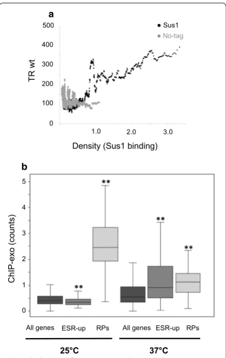 Fig. 4 The binding of Sus1 to UAS correlates with the gene TR. sliding window plot of the transcription rate (TR) in arbitrary units versus the total reads counted in each gene in the Sus1 (black dots) or the no‑tag (grey dots) of the ChIP‑exo experiments
