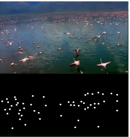 Figure 2.4: The scale challenge as seen in voc-18-bd-14 video with the binary image representation of the ground truth.