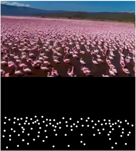 Figure 2.5: The vanishing point challenge in voc-18-bd-18 video with the binary image representation of the ground truth.