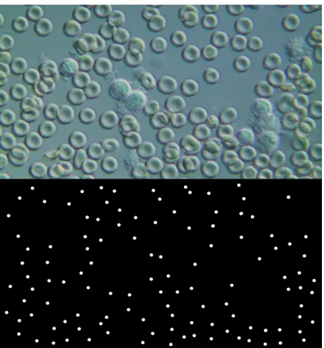 Figure 2.7: A frame and its binary version for video file voc-18-bl-4.