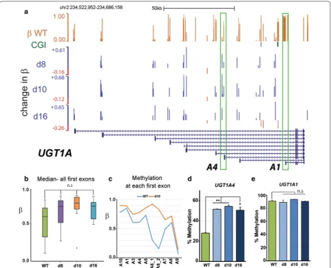 Fig. 4 Gains in methylation at the clustered UGT1A locus. a Structure of the UGT1A cluster showing the 5′ variable exons (UGT1A1–UGT1A10) which are spliced to the 3′ exons (right)
