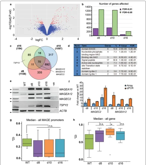 Fig. 6 Transcriptional dysregulation of genes on the X and Y chromosomes correlates with methylation changes