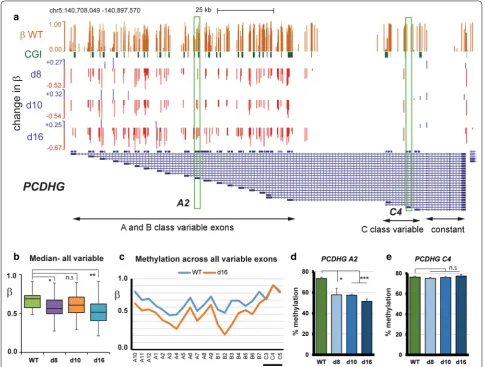 Fig. 2 Loss of methylation at the protocadherin fibroblast cells from the 450K array, which range from 1(fully methylated) to zero (unmethylated)