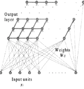 Fig. 1. The SOM Network 