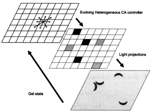 FIG. 2. Relationship between the CA controller, applied grid pattern, and�simulated� chemical system comprising one process control cycle.