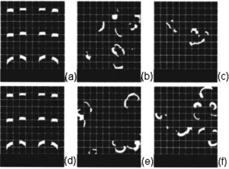 FIG. 3. The typical ﬁtness over time for both the �a� inhibition and �b�excitation tasks with the model