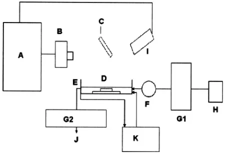 FIG. 6. An example solution to the ��a�–�c�� inhibition and ��d�–�f�� excita-tion task in chemical experiment after ��a� and �d�� initiation and coevolvedat generations of ��b� and �e�� 30 and ��c� and �f�� 200