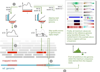 Figure 2. Agreement between reads and ref-erence sequence. 