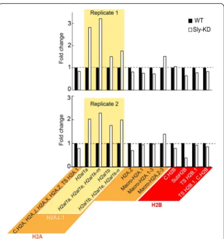 Fig. 7 Quantification of the abundance of H2A.L.1 isoforms in Sly‑KD mice. The relative abundance of H2A and H2B variants was quantified by PRM in round spermatids from WT and Sly‑KD mice