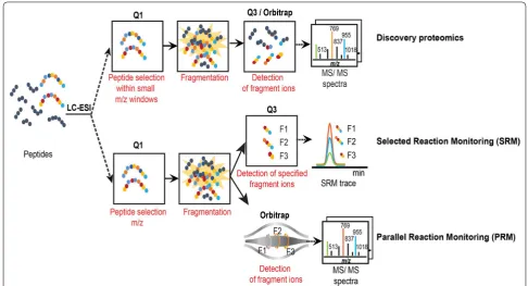 Fig. 1 Principles of discovery and targeted proteomics approaches. Major steps of discovery and targeted mass spectrometry analyses are sche‑first selects peptide ions representative of the proteins of interest in the first quadrupole (Q1); they are fragme