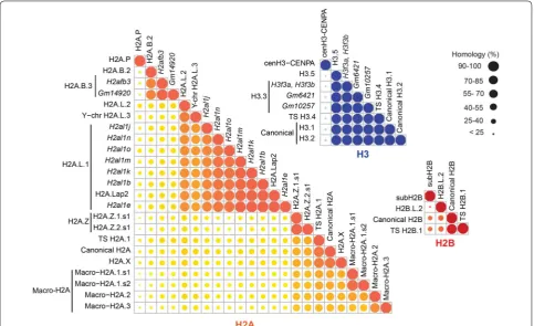 Fig. 2 Sequence similarities between H2A, H2B and H3 histone variants. The similarity between H2A, H2B, and H3 variants is displayed in orange, red, and blue, respectively