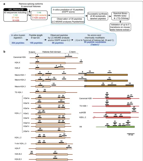 Fig. 3 Signature peptides used to quantify H2A and H2B variants by targeted proteomics