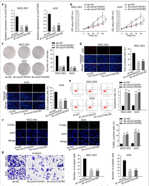 Fig. 2 CircATXN7 promoted cell proliferation and migration as well as suppressed apoptosis in GC