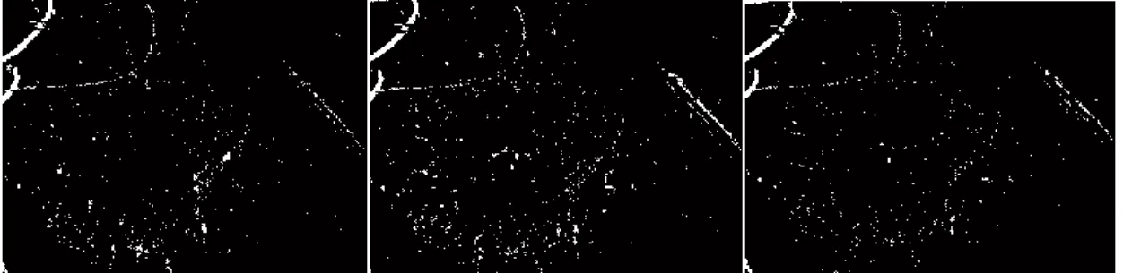 Figure 8 gives an AND image example for the threshold images from Figure 7.   