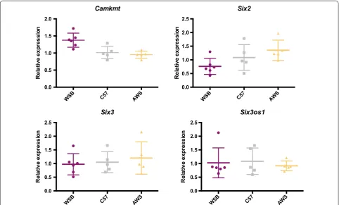 Fig. 7 RT-PCR results. RNA expression levels from E11.5 maxillary processes of three inbred mouse genotypes, relative to C57 expression levels
