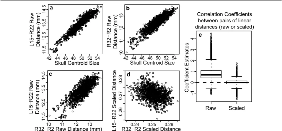 Fig. 1 Linear distance correlations and scaling. Plots of two randomly chosen linear distances calculated from our CC founder and F1 sample illustrating the change in correlation direction after scaling measures to overall skull size (centroid size)