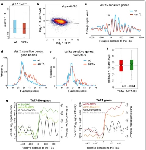 Fig. 6 Genes most transcriptionally affected by were aligned to their TSS, as in Fig. half in the Wilcoxon–Mann–Whitney U‑test