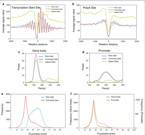 Fig. 1 Naked DNA correction improves nucleosome mapping from partially digested MNase‑seq data
