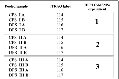 Figure 1 The study design. Combining 12 pooled samples into 3IEF strips analysed in three LC-MS/MS experiments.