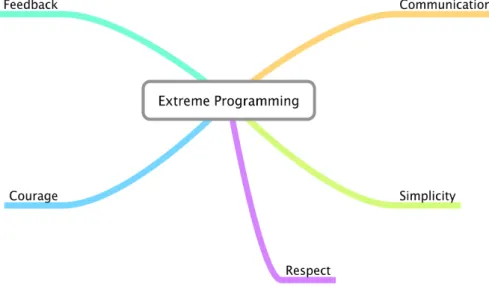 Figure 2.1: Overview of the Extreme Programming Values