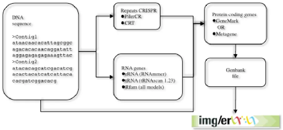 Figure 1 Data flow for gene prediction in the DOE-JGI MAP. Nucleotide sequences are annotated using tools to predict repeats (CRISPR) and RNA genes