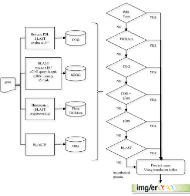 Figure 2. The gene product name assignment procedure used in the DOE-JGI MAP. Genes are first compared to protein families (COGs, Pfam, TIGRfam) and protein databases (KEGG, IMG)