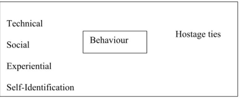 Figure 1: Preliminary Conceptual Framework (after Practitioner Interviews, Phase 1)