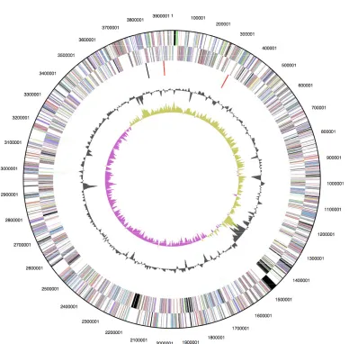Table 4. Number of genes associated with the 21 general COG functional categories (cont.) 