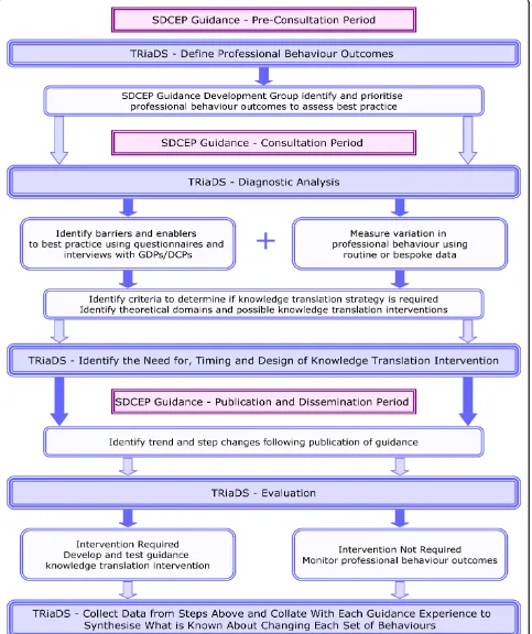 Figure 1 TRiaDS Framework