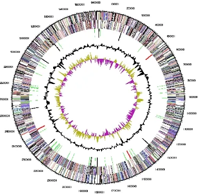 Table 4. Number of genes associated with the 21 general COG functional categories (cont.) 