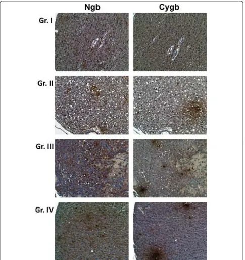 Figure 5 Expression of Ngb and Cygb in human astrocytomas. Tissue microarrays containing cores obtained from various human braintumors were stained with to antibodies to Ngb or Cygb