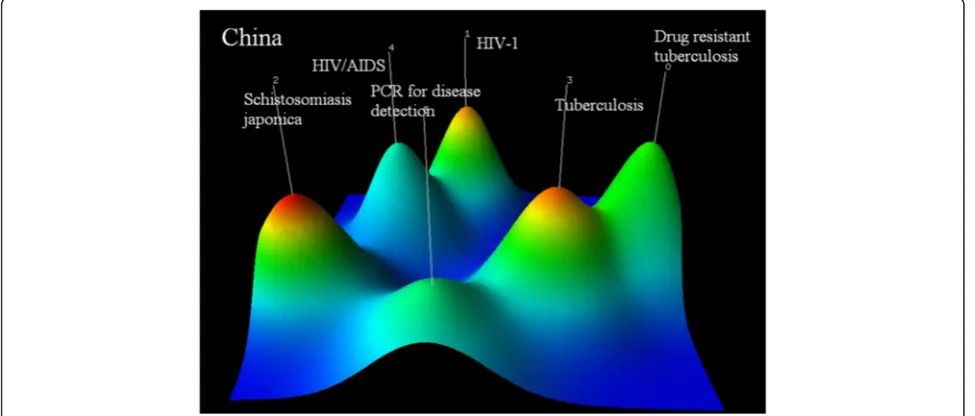 Fig. 7 Co-occurrence clustering hill diagram of the top high-frequency subjects for China