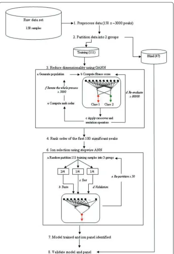Figure 2 Schematic illustration of ion identification analysis for MALDI-TOF MS protein profiling