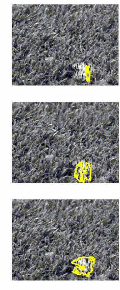 Figure 1 from different parameter sets. System Accuracy = 0.117 (top), System Accuracy scores for segmentations resulting 0.242 (middle), 0.663  (bottom)