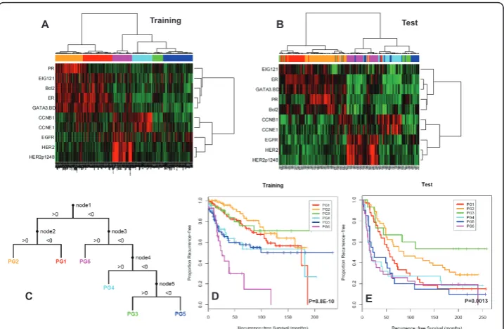 Figure 1 Supervised clustering of breast cancers with quantification data for 10 proteins derivedusing reverse phase protein arrays