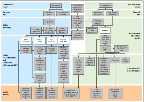 Fig. 1 Overview of the study